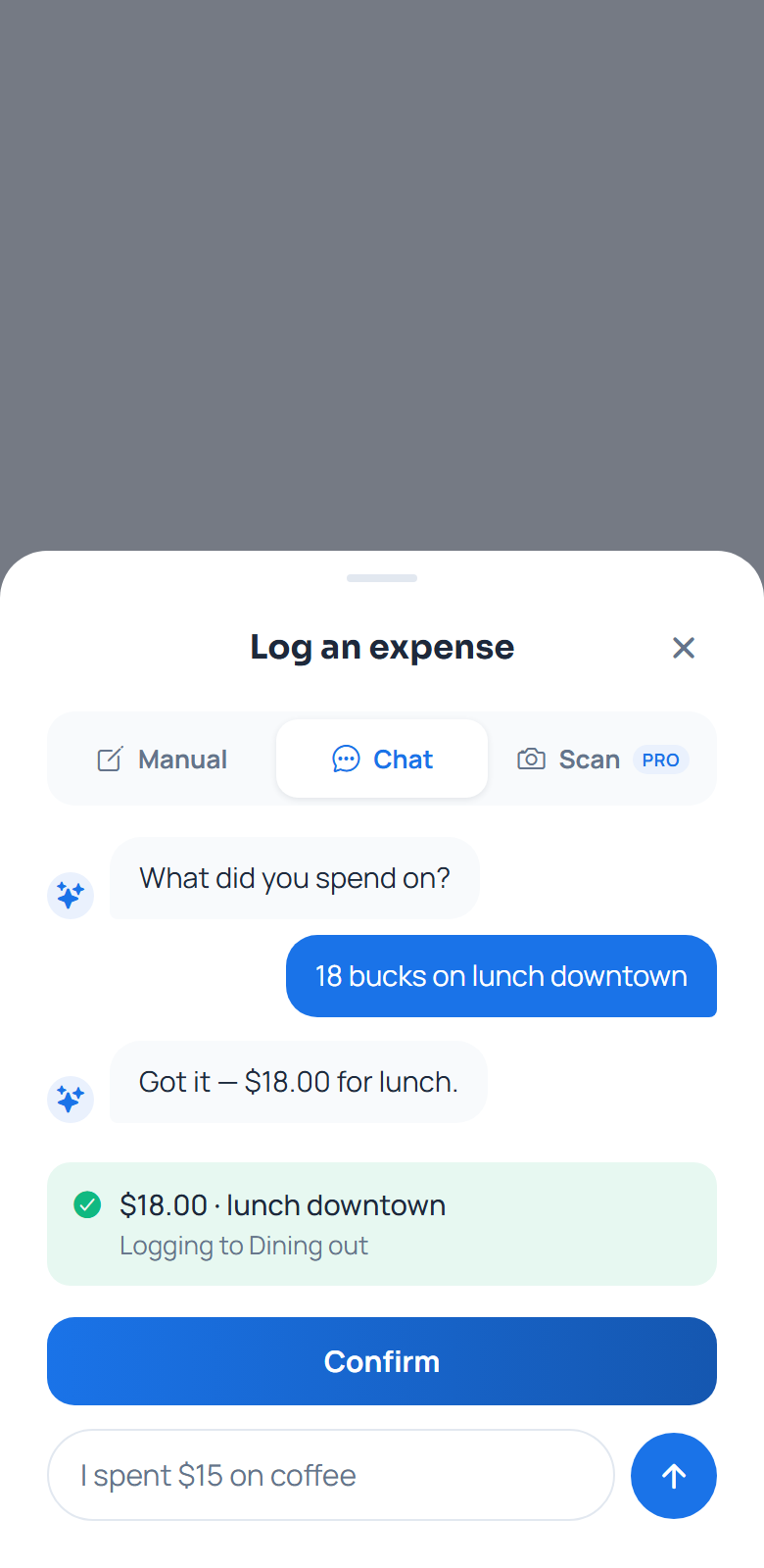 Typing 18 bucks on lunch downtown, which Topaz files under Dining out